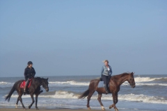 06_paseo_caballo_ok_ok