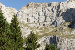 Picos de Europa