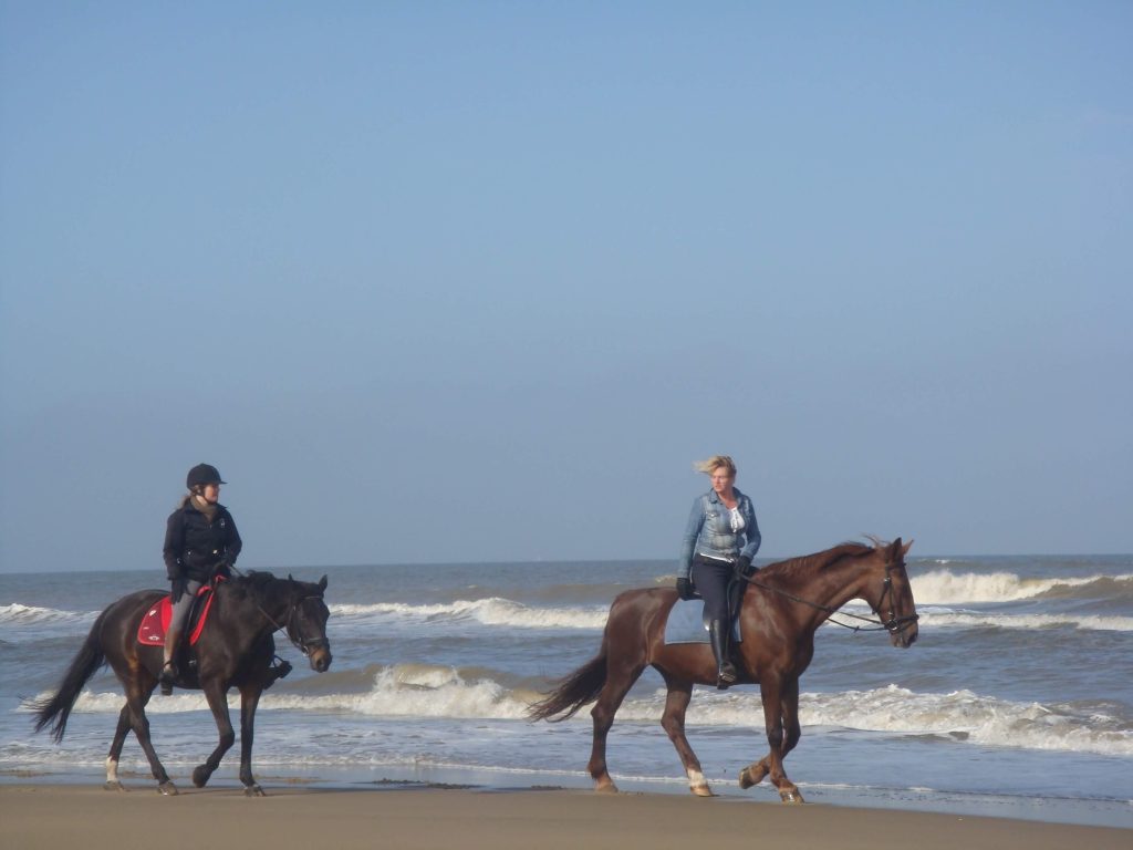 Paseo en caballo por la playa